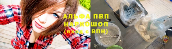 спиды Белокуриха
