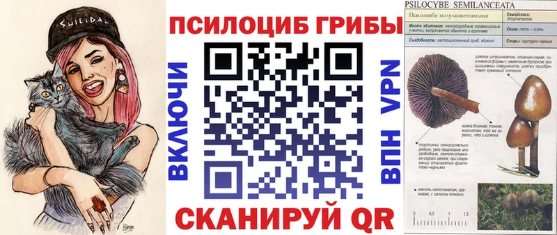 Псилоцибиновые грибы Psilocybine cubensis kraken ONION Бокситогорск